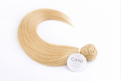 Blonde Trio Bundle